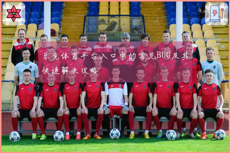 乐竞体育平台入口中的常见BUG及其快速解决攻略