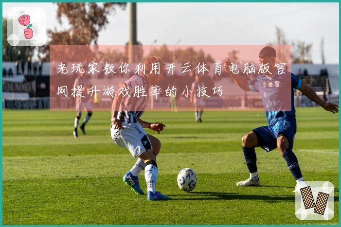 老玩家教你利用开云体育电脑版官网提升游戏胜率的小技巧